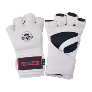 MMA Gloves