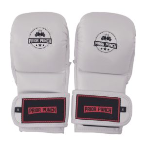 MMA Gloves